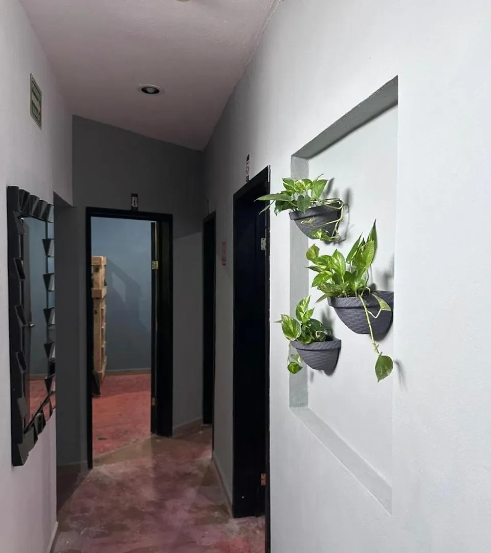 Hostal La 5Ta Avenida Playa del Carmen 0*,