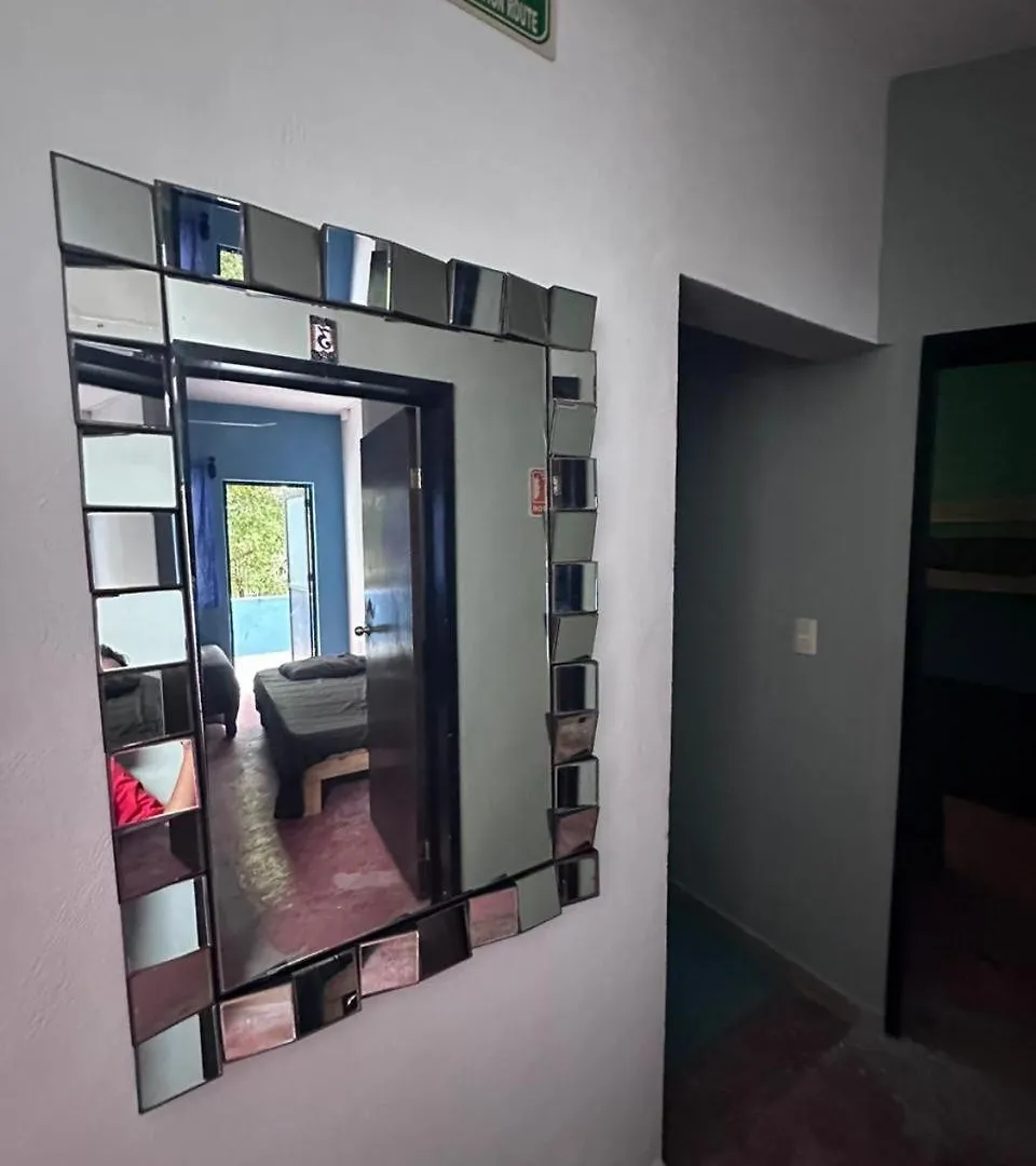 Hostal La 5Ta Avenida Playa del Carmen Guest house